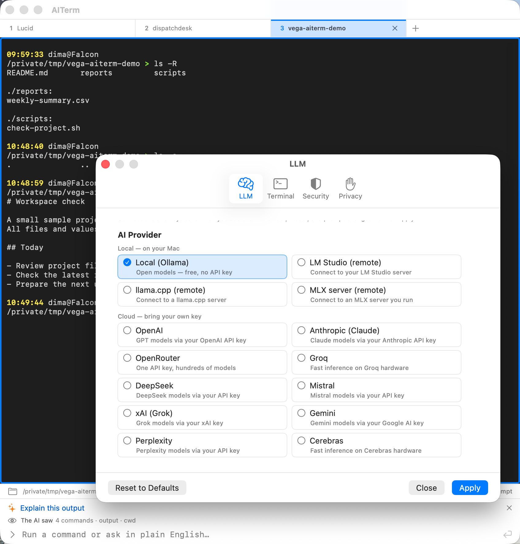 Actual AI-Term provider settings over the terminal, showing local and cloud AI connections